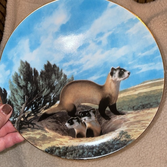 The Black Footed Ferret Will Nelson Vintage Last of Their Kind Endangered Plate - Picture 2 of 15